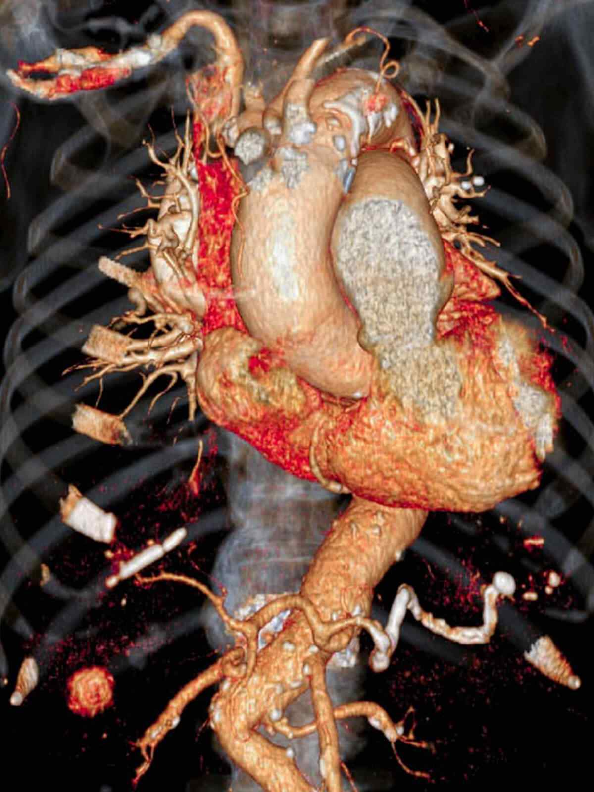 single_service_01 https://nadira-backup2.360elevate.co/wp-content/uploads/2021/09/single_service_01.jpg