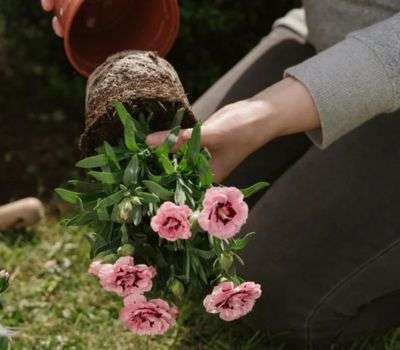 Untitled design (18) https://nadira-backup2.360elevate.co/wp-content/uploads/2024/10/Untitled-design-18.jpg